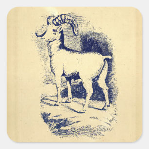 VINTAGE BIG HORN SHEEP SQUARE STICKER