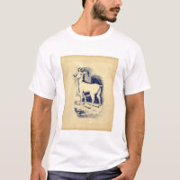 VINTAGE BIG HORN SHEEP
