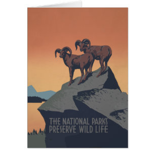 Vintage Bighorn Sheep Wildlife Poster