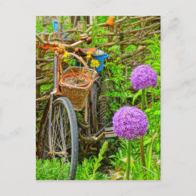vintage bike in the garden postcard (Front)
