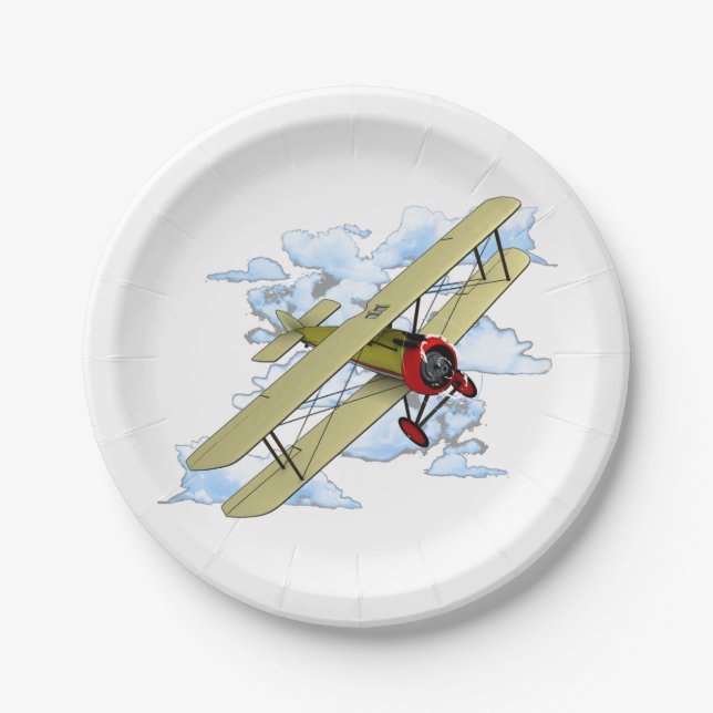 Vintage Biplane Flying Paper Plate (Front)