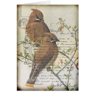 Vintage Bird