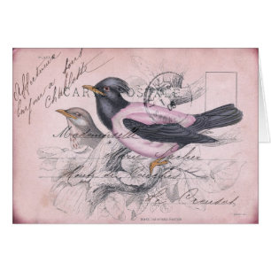 Vintage Bird