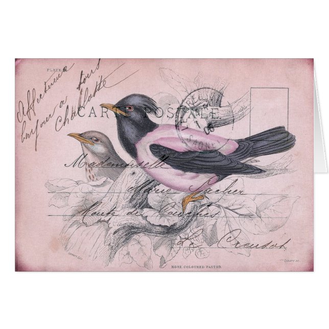 Vintage Bird (Front Horizontal)