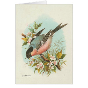 Vintage Bird