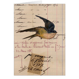 Vintage Bird and Ledger Paper Digital Art