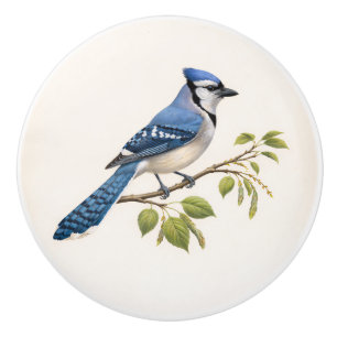 Vintage Bird Blue Jay Drawer Ceramic Knob