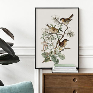 Vintage Bird Botanical Poster