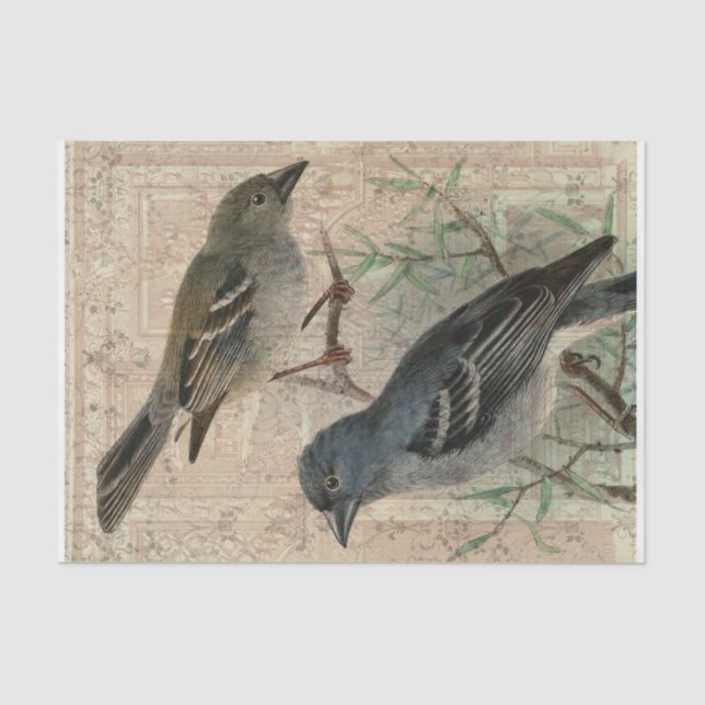 Vintage Bird Collage Tissue Paper (Front)