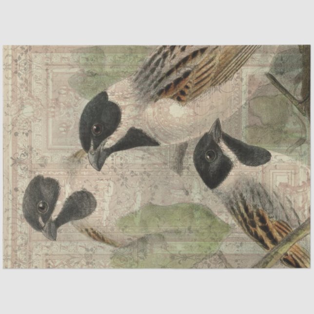 Vintage Bird Collage Tissue Paper (Front)