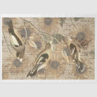 Vintage Bird Collage Tissue Paper