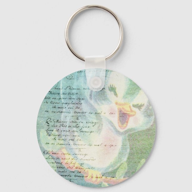 Vintage Bird Digital art collage Key Ring (Front)