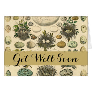 Vintage Bird Egg Nest Art Painting Eggs