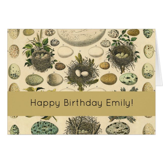 Vintage Bird Egg Nest Art Painting Eggs (Front Horizontal)