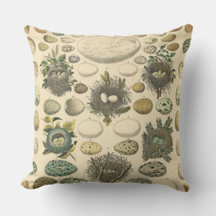 Vintage Bird Egg Nest Art Painting Eggs Cushion