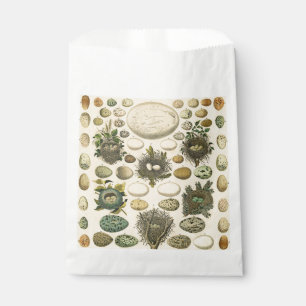 Vintage Bird Egg Nest Art Painting Eggs Favour Bag