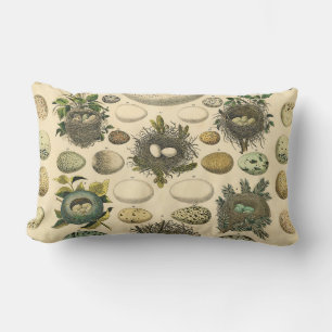 Vintage Bird Egg Nest Art Painting Eggs Lumbar Cushion