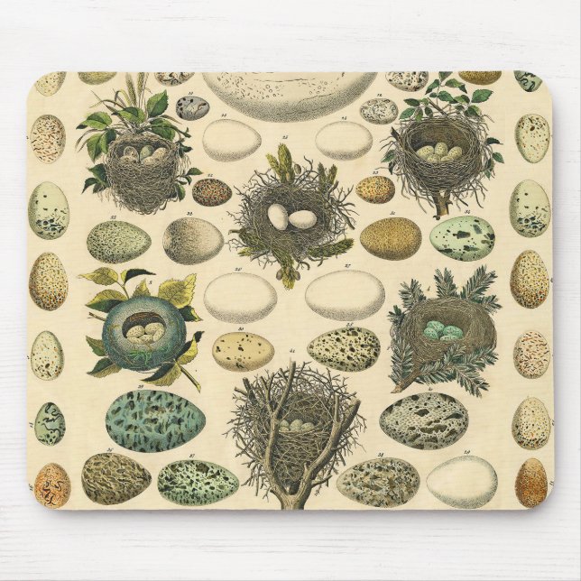Vintage Bird Egg Nest Art Painting Eggs Mouse Pad (Front)