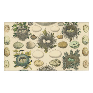 Vintage Bird Egg Nest Art Painting Eggs Name Tag