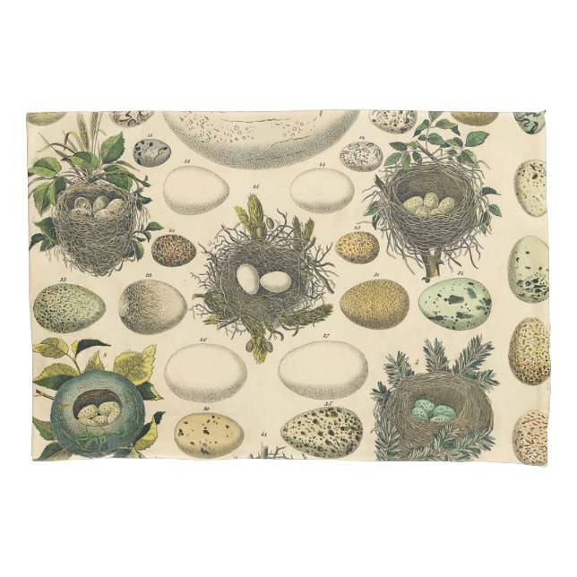 Vintage Bird Egg Nest Art Painting Eggs Pillowcase (Front)