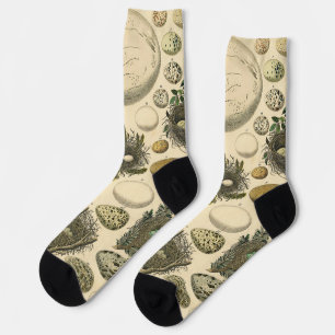 Vintage Bird Egg Nest Art Painting Eggs Socks