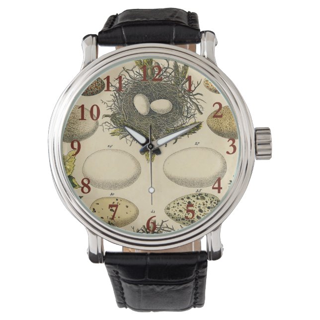 Vintage Bird Egg Nest Art Painting Eggs Watch (Front)