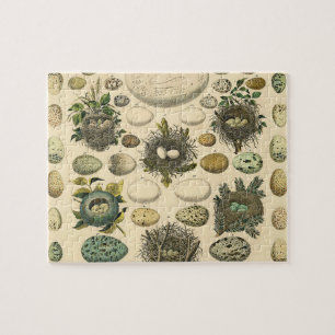 Vintage Bird Egg Nest Art Painting Jigsaw Puzzle