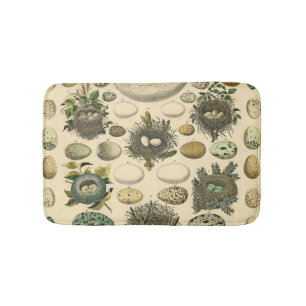 Vintage Bird Egg Nest Art Painting Natural History Bath Mat