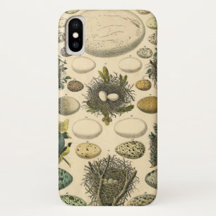 Vintage Bird Egg Nest Art Painting Natural History iPhone X Case