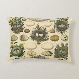 Vintage Bird Egg Nest Art Painting Natural History Decorative Cushion