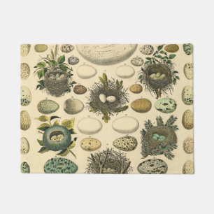 Vintage Bird Egg Nest Art Painting Natural History Doormat