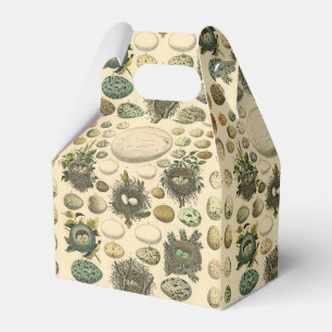 Vintage Bird Egg Nest Art Painting Natural History Favour Box