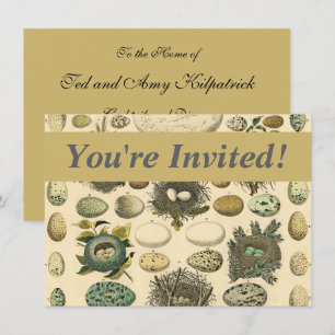 Vintage Bird Egg Nest Art Painting Natural History Invitation