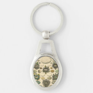 Vintage Bird Egg Nest Art Painting Natural History Key Ring