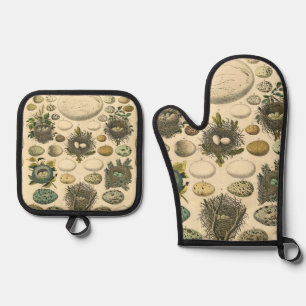 Vintage Bird Egg Nest Art Painting Natural History Oven Mitt & Pot Holder Set