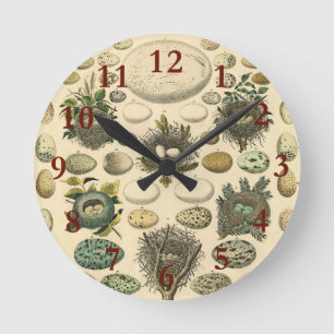 Vintage Bird Egg Nest Art Painting Natural History Round Clock