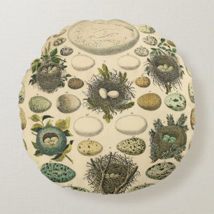 Vintage Bird Egg Nest Art Painting Natural History Round Cushion