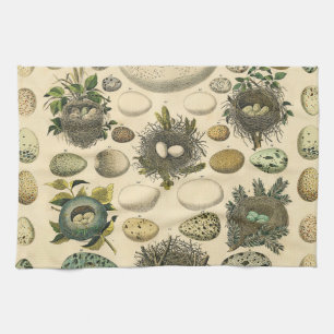 Vintage Bird Egg Nest Art Painting Natural History Tea Towel