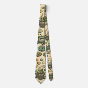 Vintage Bird Egg Nest Art Painting Natural History Tie
