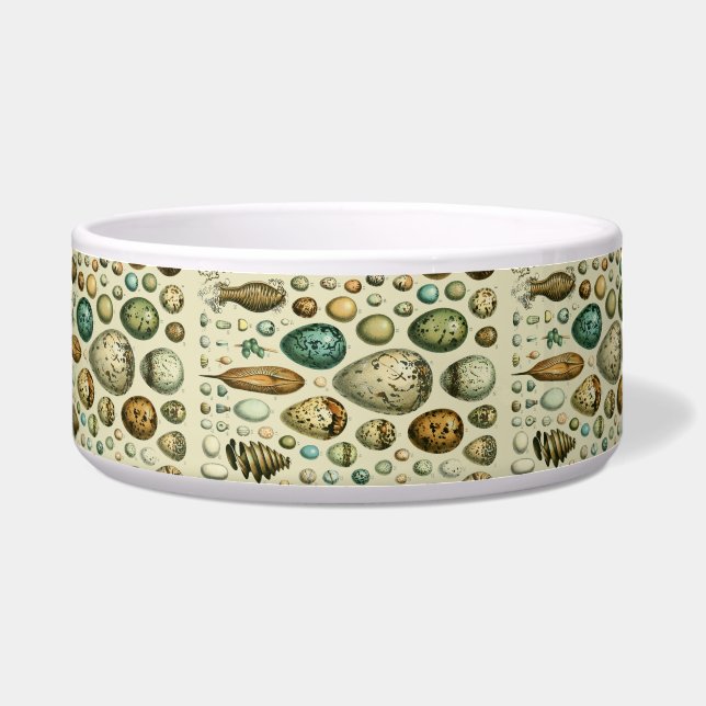 Vintage Bird Eggs French Fish Egg Art (Front)