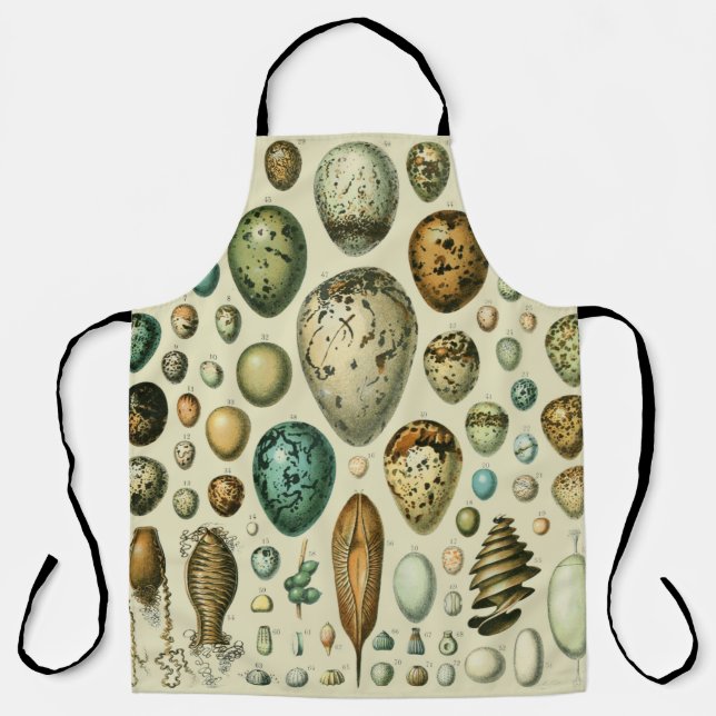 Vintage Bird Eggs French Fish Egg Art Apron (Front)