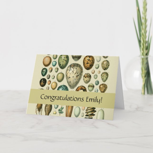 Vintage Bird Eggs French Fish Egg Art Card (Front)