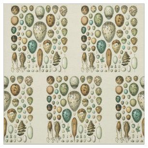 Vintage Bird Eggs French Fish Egg Art Fabric