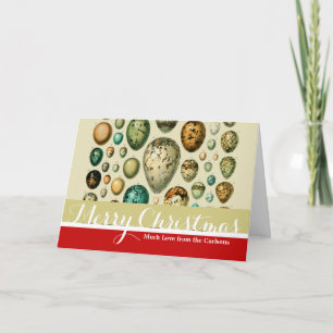 Vintage Bird Eggs French Fish Egg Art Holiday Card