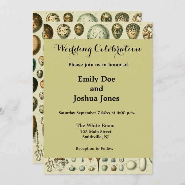 Vintage Bird Eggs French Fish Egg Art Invitation (Front/Back)