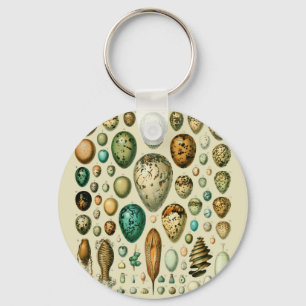 Vintage Bird Eggs French Fish Egg Art Key Ring