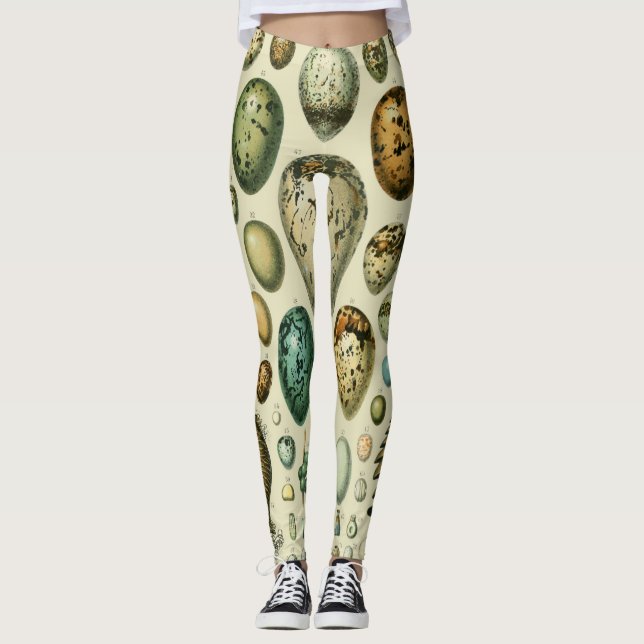 Vintage Bird Eggs French Fish Egg Art Leggings (Front)