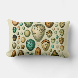Vintage Bird Eggs French Fish Egg Art Lumbar Cushion