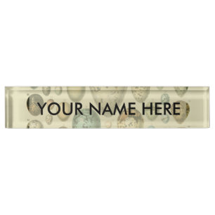 Vintage Bird Eggs French Fish Egg Art Nameplate