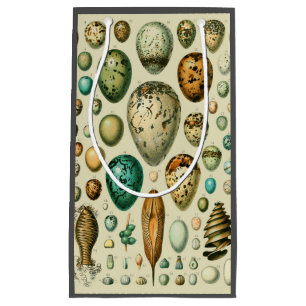 Vintage Bird Eggs French Fish Egg Art Small Gift Bag